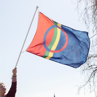 Det samiske flagget